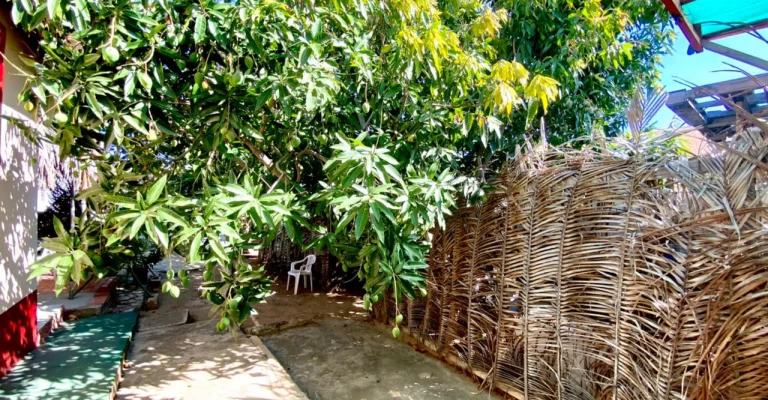Home at Picaron