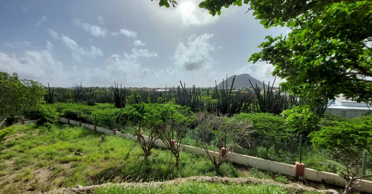 Villa Morgenster 11, photo 71