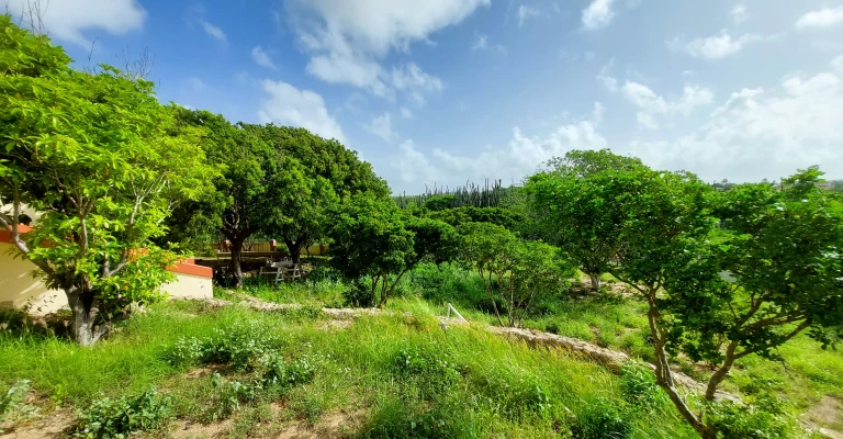 Villa Morgenster 11, photo 73