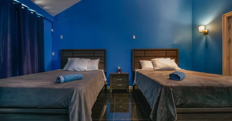 Palm Beach Luxury Villa, photo 16