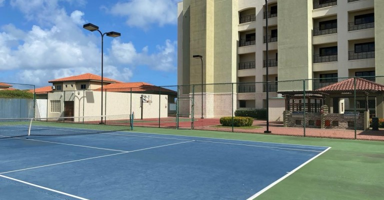 Palmaruba Condo 501