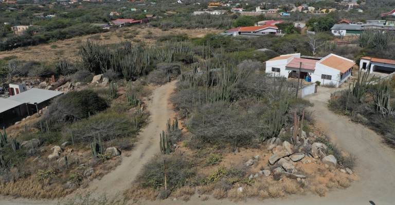 Cashero 29-B