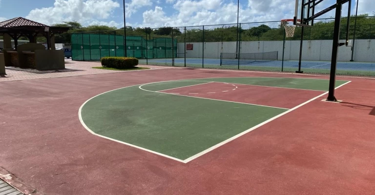 Palmaruba Rental 01