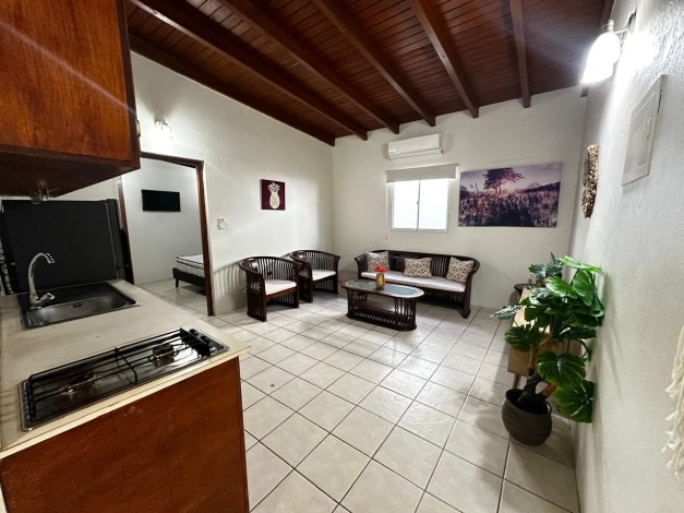One bedroom apartment