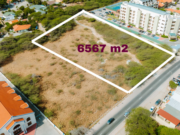 Palm Beach 6567 m2