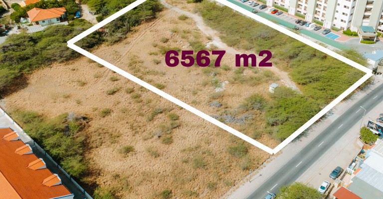 Palm Beach 6567 m2