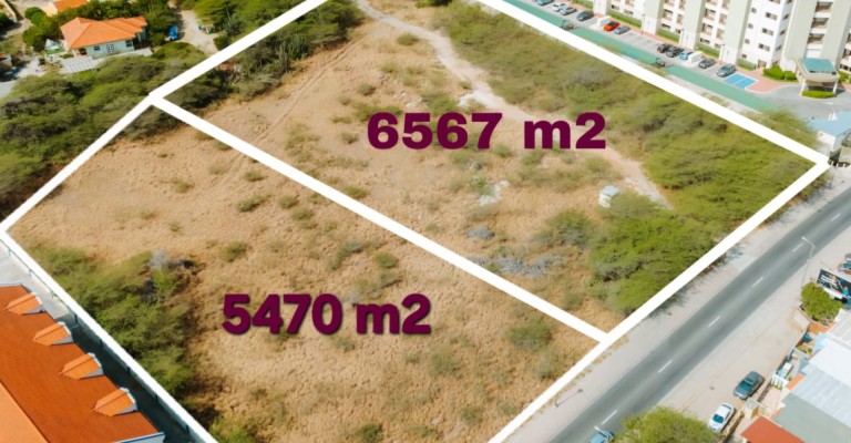 Palm Beach 6567 m2