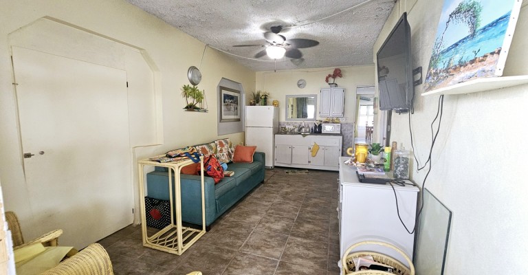 Palm Beach 330