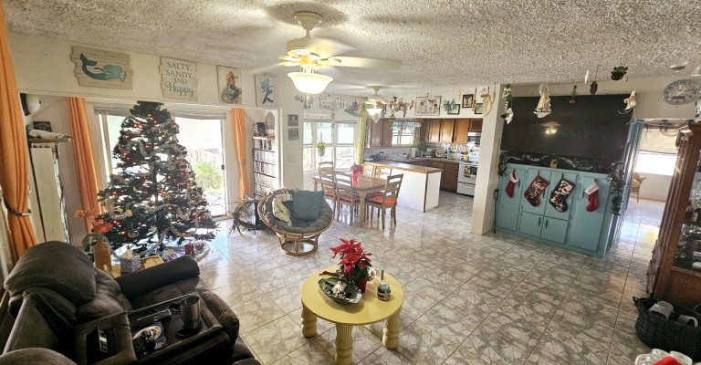 Palm Beach 330
