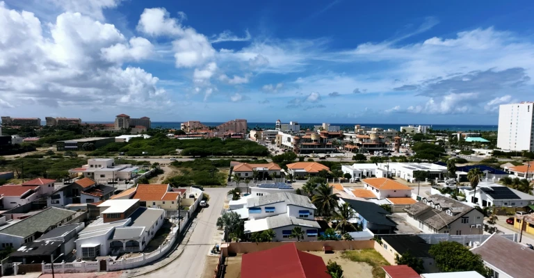 Palm Beach 330
