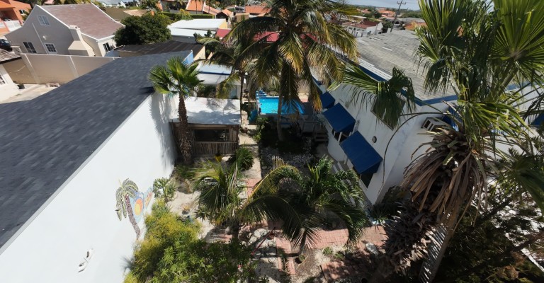 Palm Beach 330