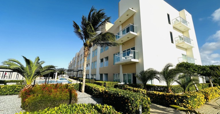 Aruba's Life 318