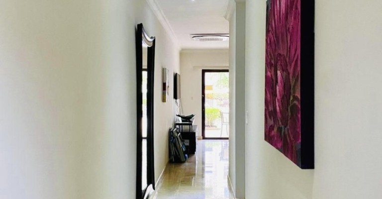 Palmaruba Condo Eagle