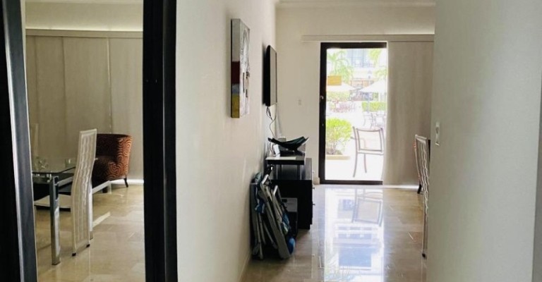 Palmaruba Condo Eagle