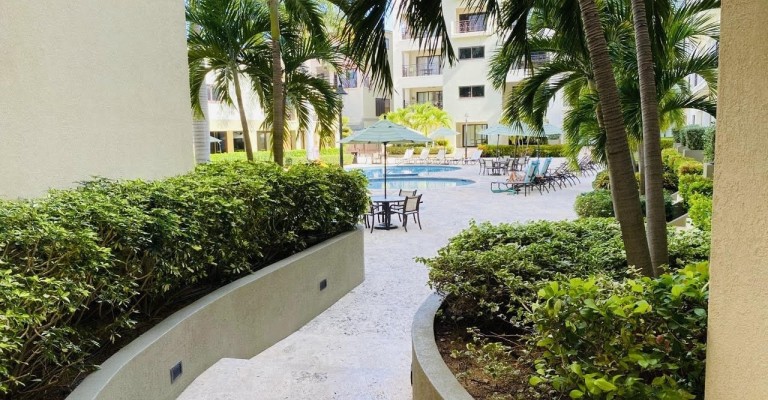 Palmaruba Condo Eagle