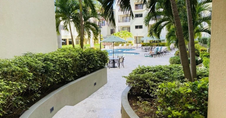 Palmaruba Condo Eagle