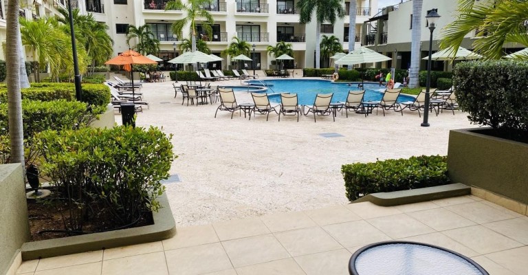 Palmaruba Condo Eagle