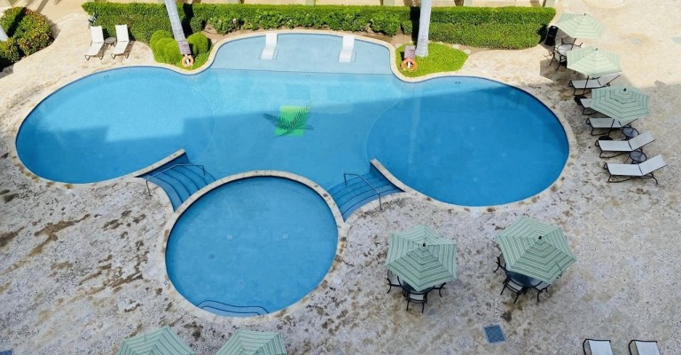 Palmaruba Condo Eagle