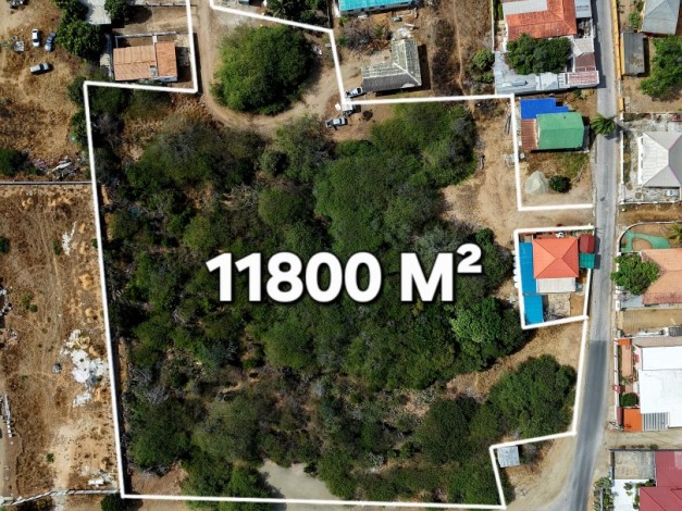 Commercial Property in Savaneta 11.800 m2