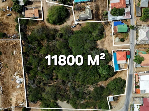 Savaneta 11.800 m2