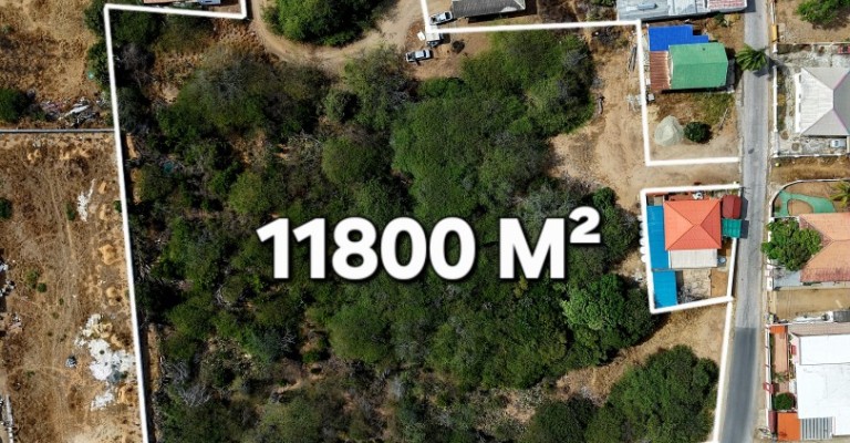 Commercial Property in Savaneta 11.800 m2