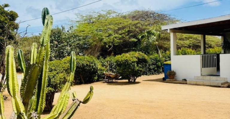 Boegoeroei 64 A