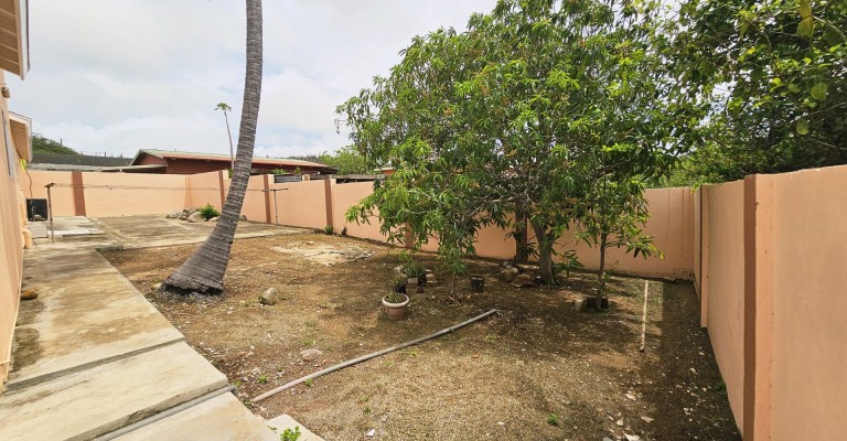 Rooi Kochi 31-A