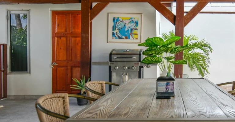 Charming Property with 2 Apartments in Tarabana Residence