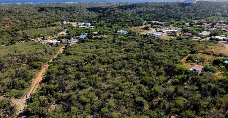 Balashi 12.090 m2, photo 5