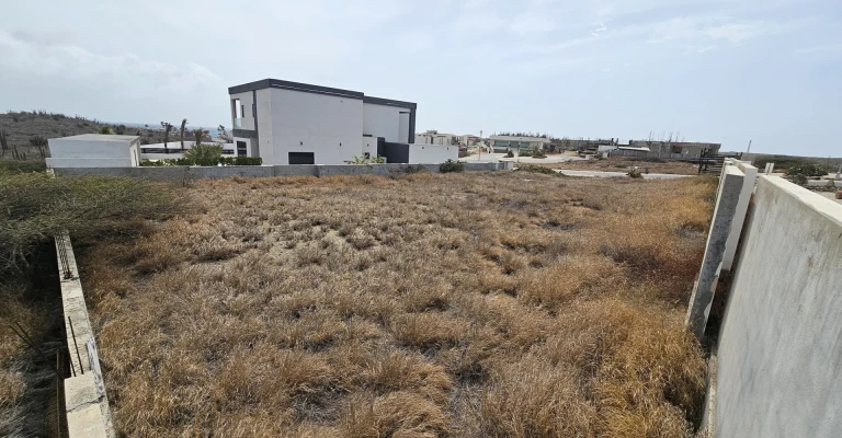 Catalina Estate Lot 1 Tierra del sol, photo 10