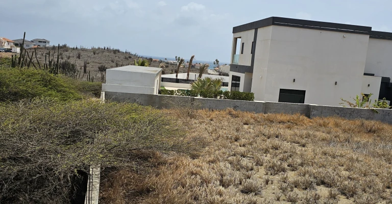 Catalina Estate Lot 1 Tierra del sol, photo 14