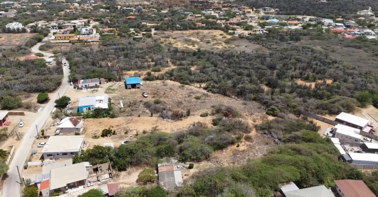 Papilon 32, photo 9