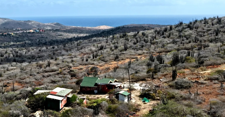 Shete 19, photo 3