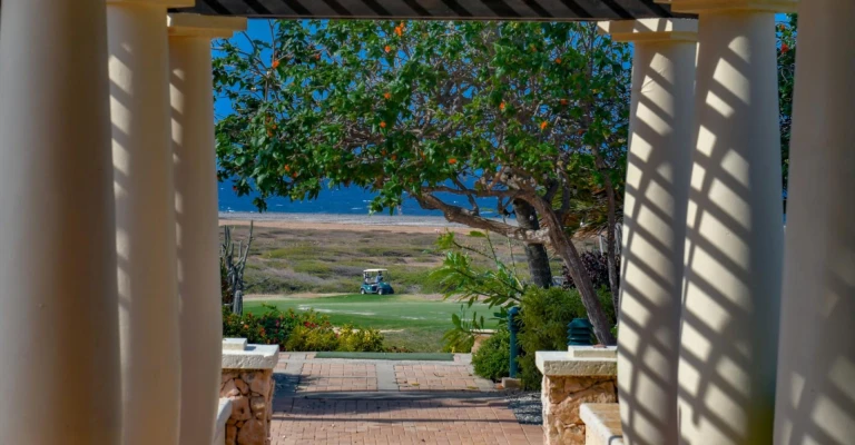 Mesa Vista 13